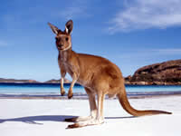 Australia Tour Packages from Delhi