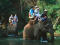 Kerala Adventure Tour Packages