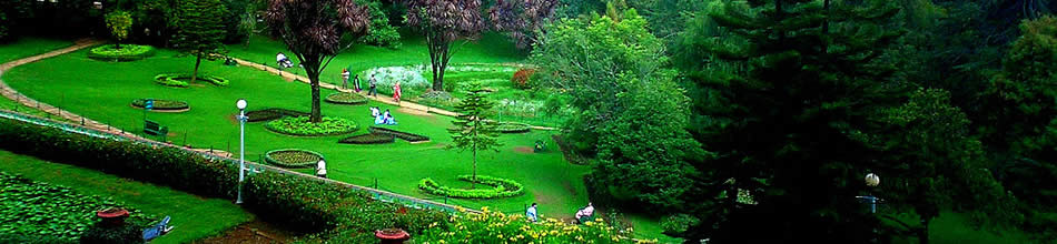 Ooty Honeymoon packages