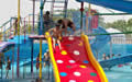 Sultanpur Bird Sanctury Gurgaon Tourist places near delhi for weekend getaways from delhi