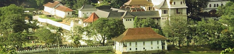 Sri Lanka Summer Holiday Packages