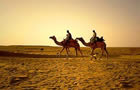 Jaisalmer Tour Packages