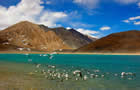 Leh Ladakh